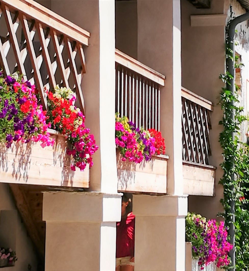 Il portico con i fiori